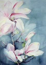 Magnolia Soulangeana (verticaal)