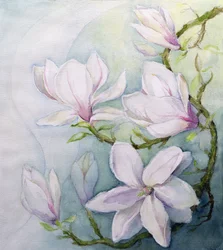 Magnolia