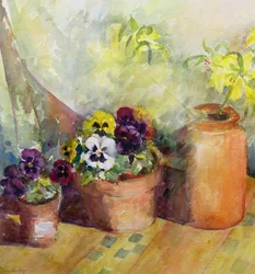 Viooltjes en Terracotta Potten