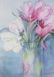 Roze Papegaaitulpen en Marlette