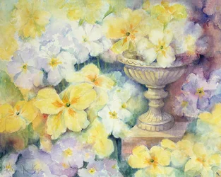 Polyanthus in Hurst
