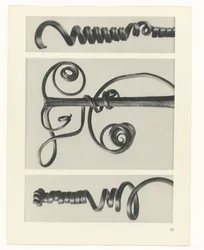 Plantstudie Urformen der Kunst (serietitel)