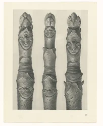 Plantstudie Urformen der Kunst (serietitel)