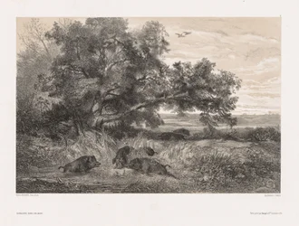 Dieren en landschap naar de natuur: Wild zwijn in een vijver, ca. 1850