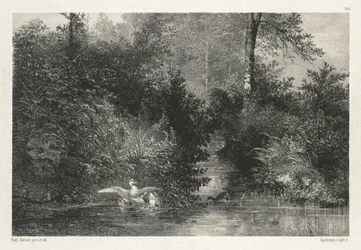 Eenden (Canards)