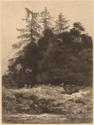 Herten in een Park