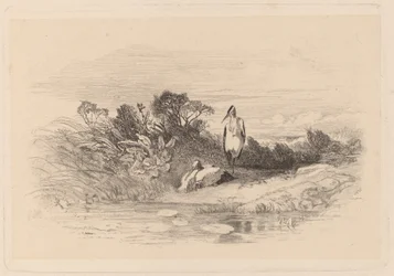Reigers