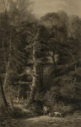 Bos interieur