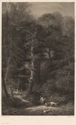 Bosinterieur