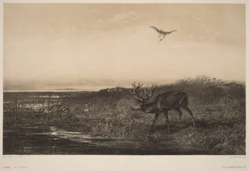 De avond - Hert en reigers
