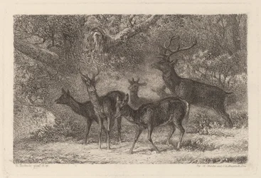 De harde