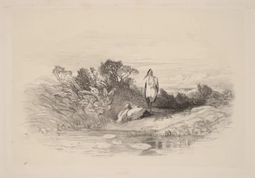 De twee reigers