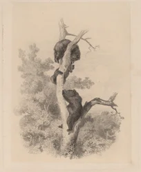 De Beren