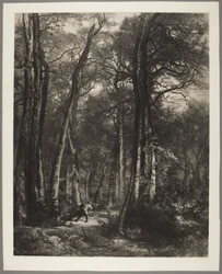 Man in het bos