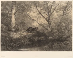 Wilde zwijnen