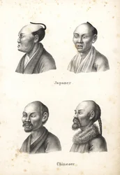 Bustes van Japanse mannen met chonmage-knot en Chinese mannen met baarden, van wie één met een vlecht. Lithografie van Karl Joseph Brodtmann uit Heinrich Rudolf Schinz