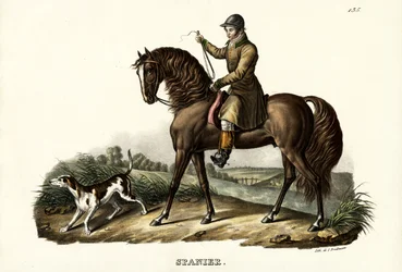 Spaanse jachtpaard, 1824