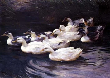 Eenden