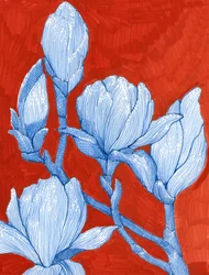 Gedurfde blauwe magnolia