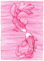 Dans van roze koi