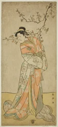 De acteur Ichikawa Ebizo (Danjuro V) als de hofdame Iwafuji in het toneelstuk Gozen-gakari Sumo Soga, opgevoerd in het Kawarazaki Theater in de eerste maand, 1793 ()