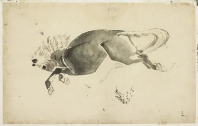 Rennend Paard