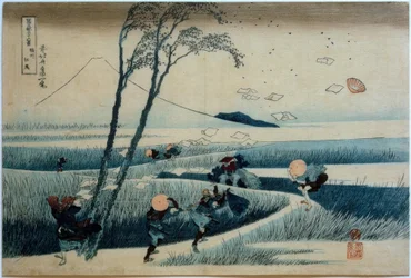 Ejiri in de Provincie Suruga