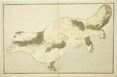 Vos, uit Het Prentenboek van Realistische Schilderijen van Hokusai