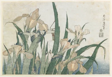 Irisbloemen en sprinkhaan, ca. 1830-31