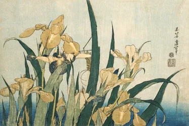 Iris met een sprinkhaan, pub. 1830