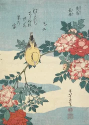 Japanse nachtegaal en rozen, c. 1832