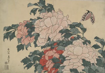 Pioenen en Vlinder, uit een ongetitelde serie genaamd Grote Bloemen