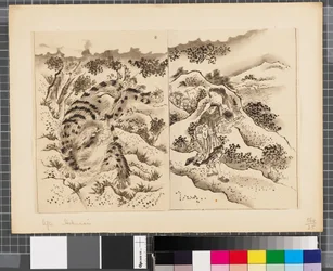 Scènes uit de oorlog tussen Japan en Korea, eind 18e-begin 19e eeuw