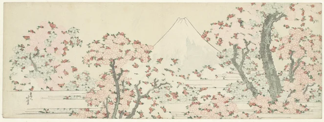 De berg Fuji met bloeiende kersenbomen