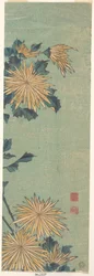 Gele chrysanten op een blauwe achtergrond
