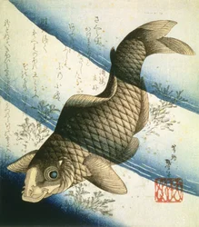 Een Karper Zwemmend tussen Waterplanten, ca.1832