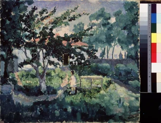 Zomerlandschap