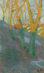 Bomen, ca.1904