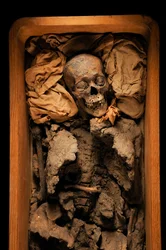 Mummie van Amenhotep III, grootvader van Koning Toet, KV 35, Toetanchamon; 18e Dynastie; Nieuwe Koninkrijk, 2005