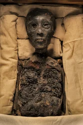 Mummie van Koning Toet, 18e Dynastie; Nieuwe Koninkrijk; het Egyptisch Museum; Caïro, Egypte, 2005