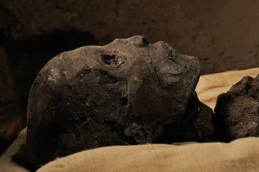 Mummie van Koning Toet, 18e Dynastie; Nieuwe Koninkrijk; het Egyptisch Museum; Caïro; Egypte