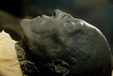 Mummie van Seti I, farao 19e dynastie, Nieuwe Koninkrijk