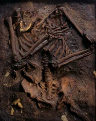 Neanderthaler, geschilderde afgietsel, Kebara grot, Karmelberg, "Moshe", ca. 60.000 BP, Israël