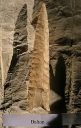 Bevolking van Amerika, Dalton Point, Dennis Stanford, Smithsonian gereedschapscollectie, 2008