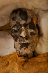 mm7864; 18e Dynastie; Nieuwe Koninkrijk; Egypte; Het Egyptisch Museum; Caïro; Mummie; Vallei der Koningen, 2005