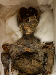 18e Dynastie; Nieuwe Koninkrijk; Egypte; Het Egyptisch Museum; Caïro; Mummie; Vallei der Koningen, 2009 (foto)