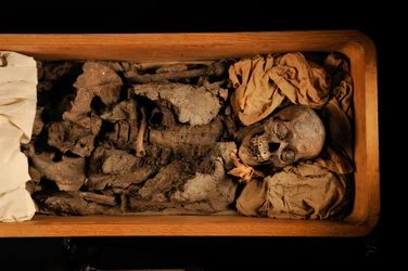Toetanchamon; 18e Dynastie; Nieuwe Koninkrijk; het Egyptisch Museum; Caïro; DNA; monster, 2005