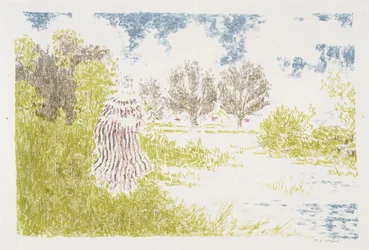 Vrouw in een gestreepte jurk, 1899-1900 (lithografie in kleuren)