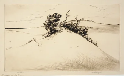 Schaduwen op de duinen