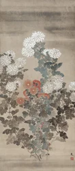 Chrysanten